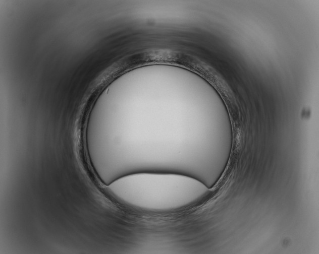 X0000103420725200809121011