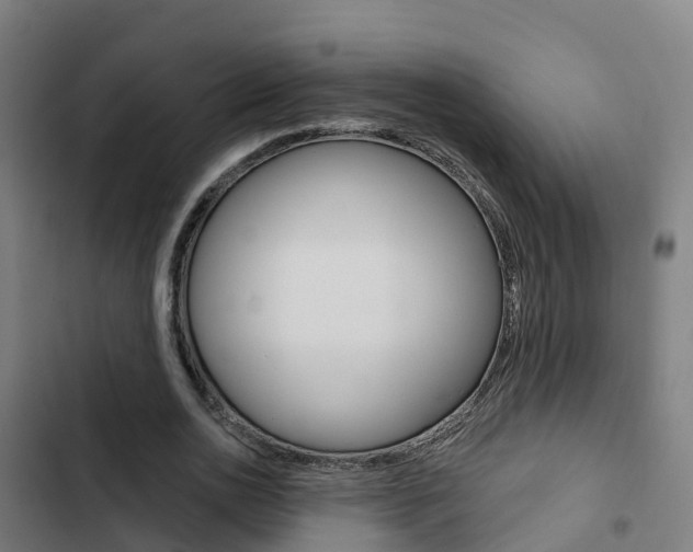 X0000103420726200809121011