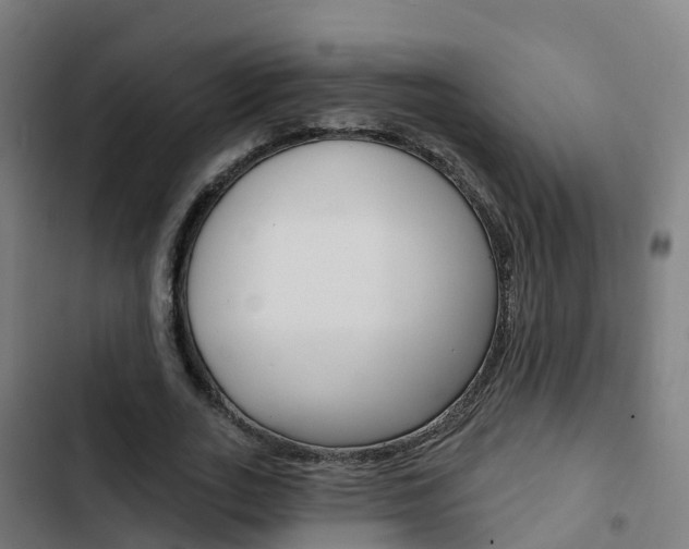 X0000103420727200809121012
