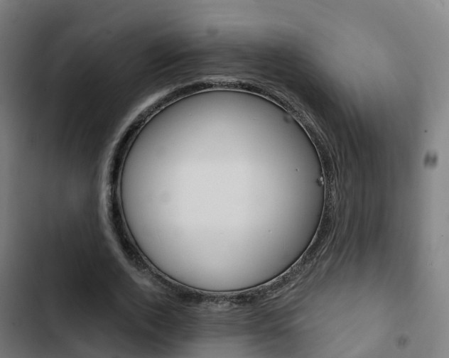 X0000103420728200809121012