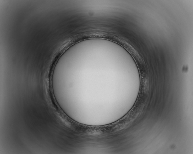 X0000103420729200809121012