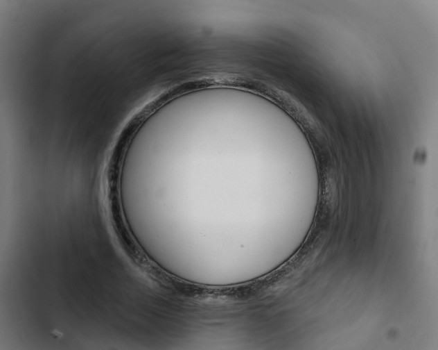 X0000103420730200809121012