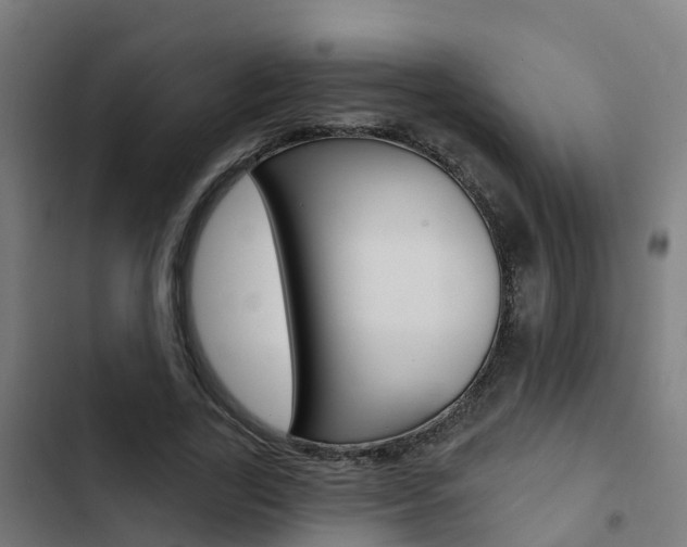 X0000103420731200809121012