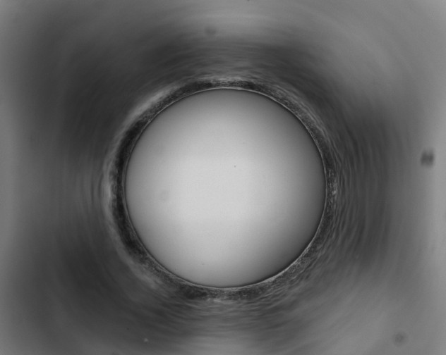 X0000103420732200809121012