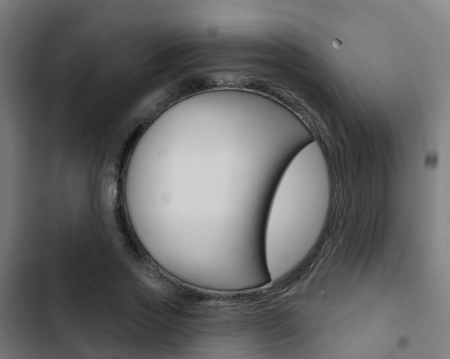 X0000103420733200809121012