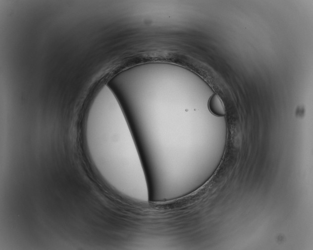 X0000103420735200809121012