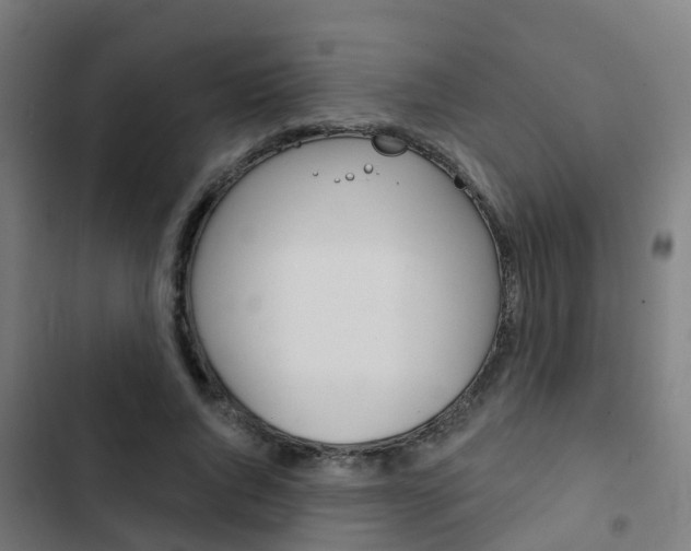 X0000103420736200809121012