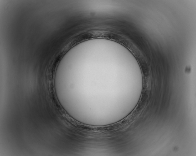 X0000103420737200809121012