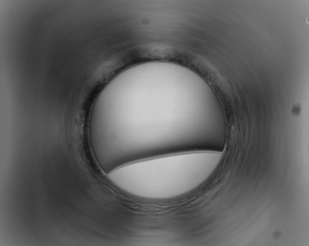 X0000103420739200809121012