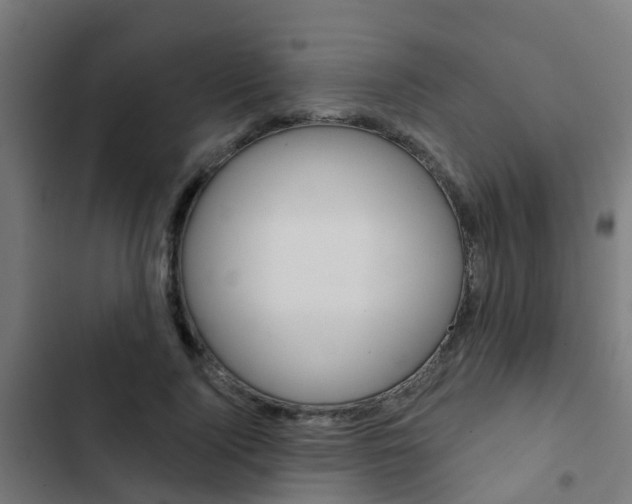 X0000103420740200809121012