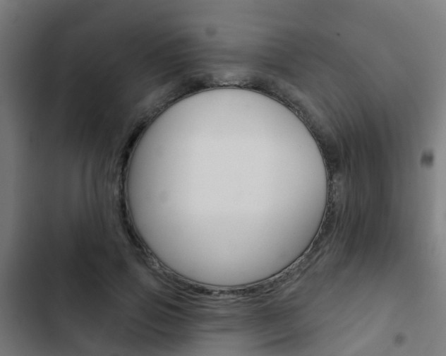 X0000103420741200809121012