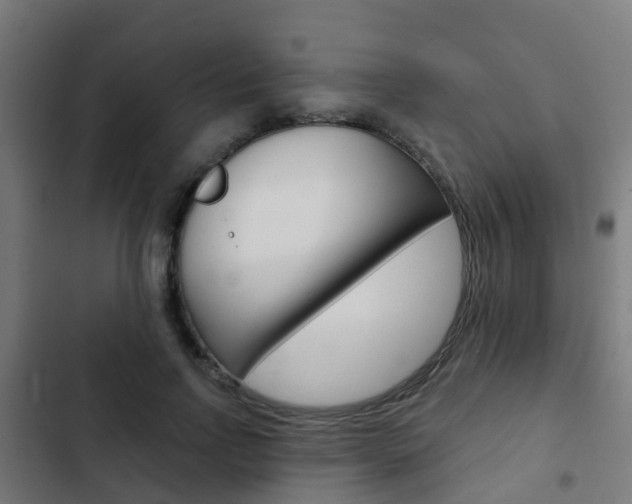 X0000103420742200809121012