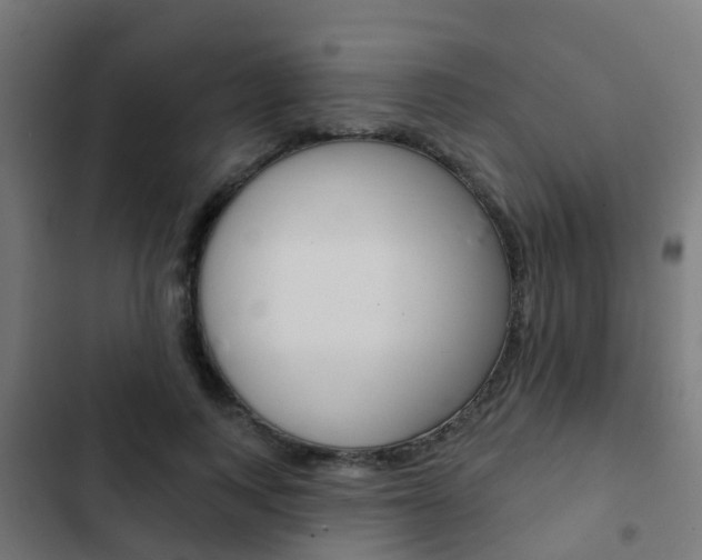 X0000103420743200809121012