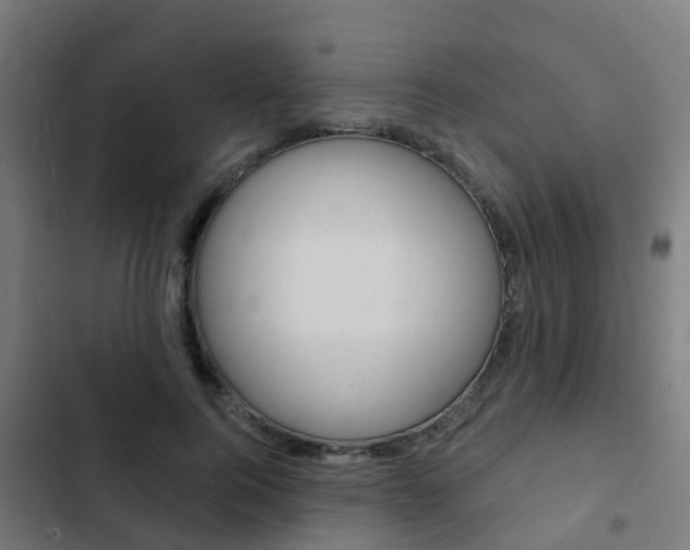 X0000103420744200809121012