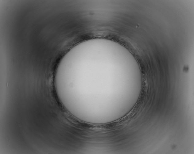 X0000103420745200809121012
