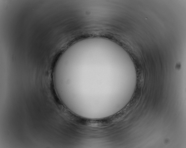 X0000103420746200809121012
