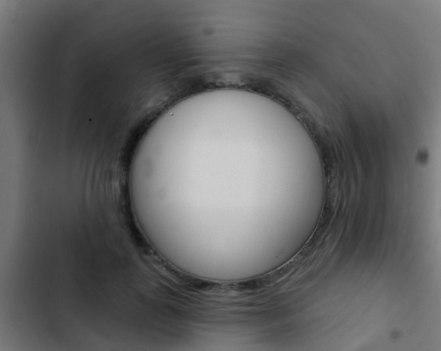 X0000103420747200809121012
