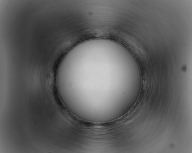 X0000103420748200809121012