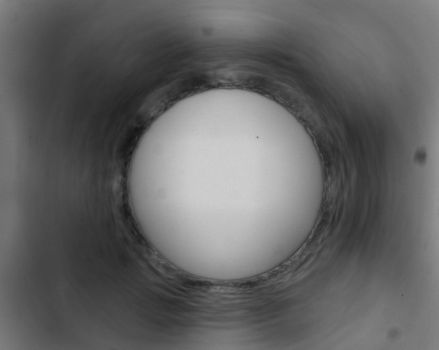 X0000103420749200809121012