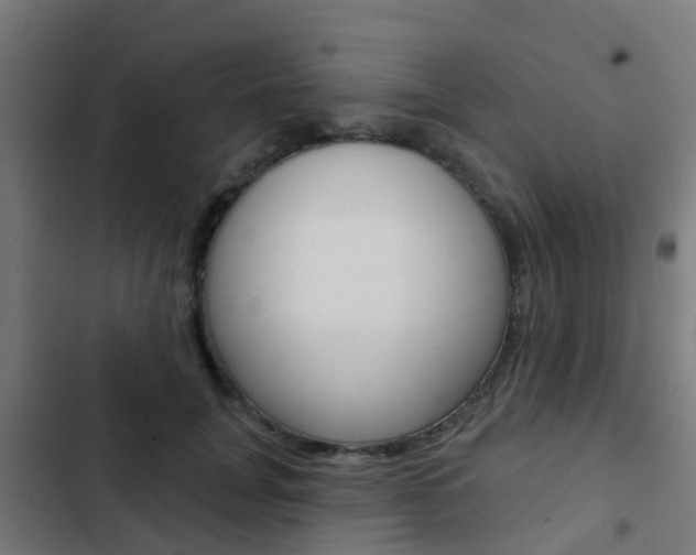 X0000103420751200809121012