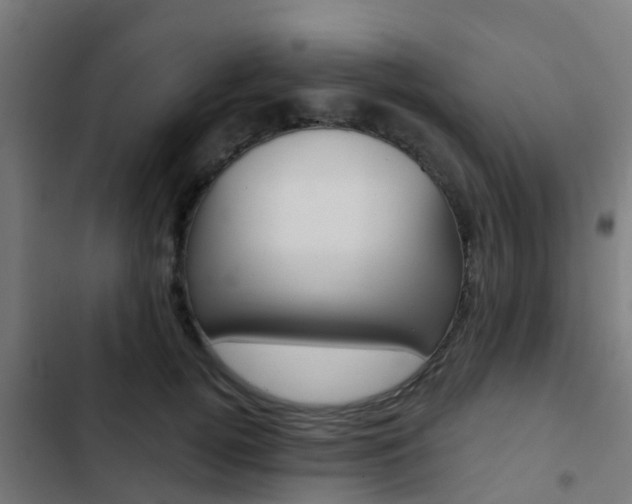 X0000103420752200809121012