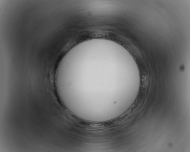 X0000103420753200809121012