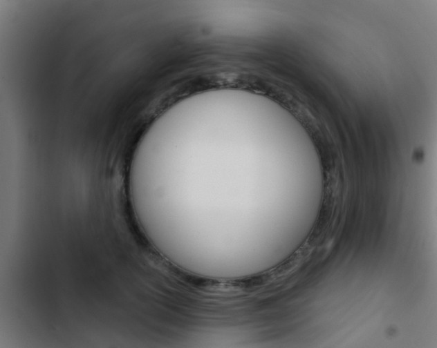 X0000103420754200809121012