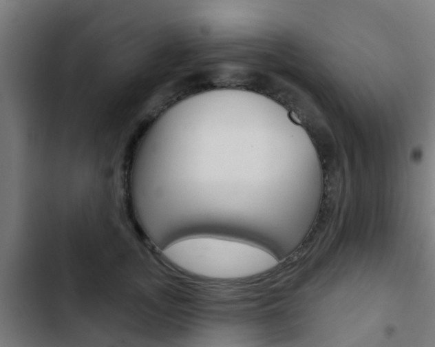 X0000103420755200809121012