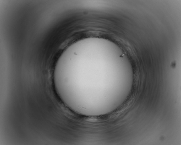 X0000103420759200809121012