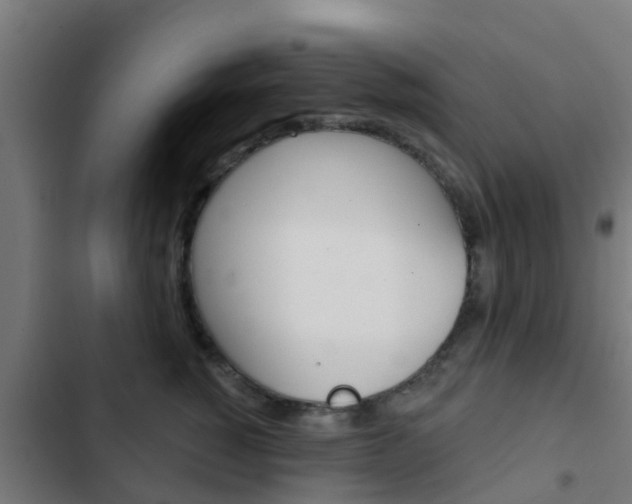 X0000103420760200809121012