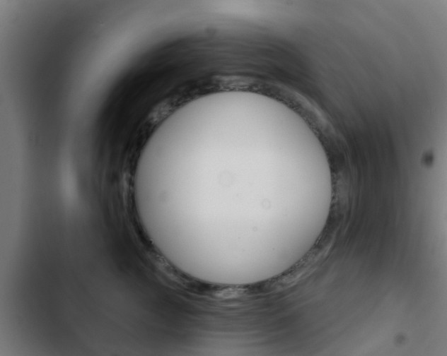 X0000103420761200809121012