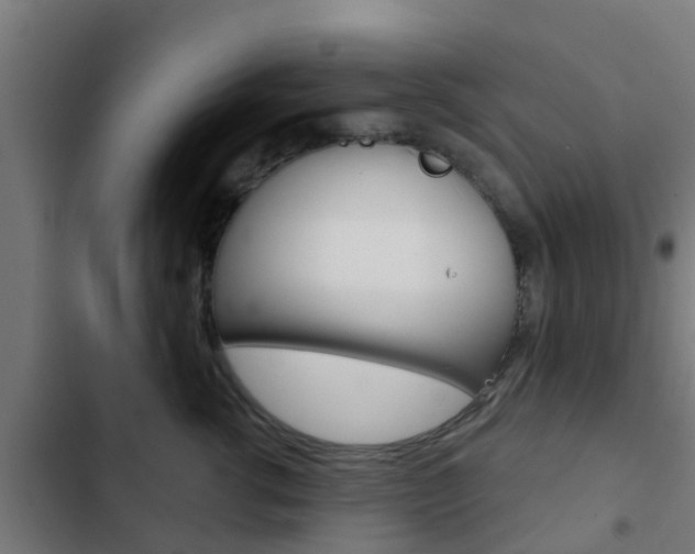 X0000103420762200809121012