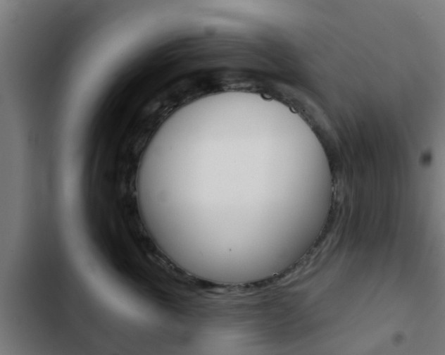 X0000103420763200809121012
