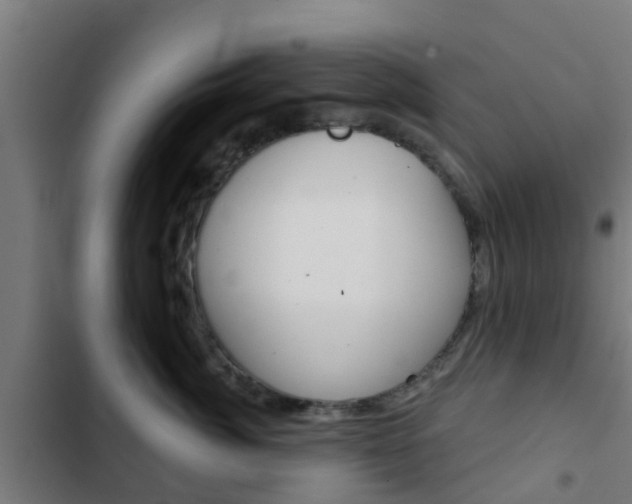 X0000103420764200809121012