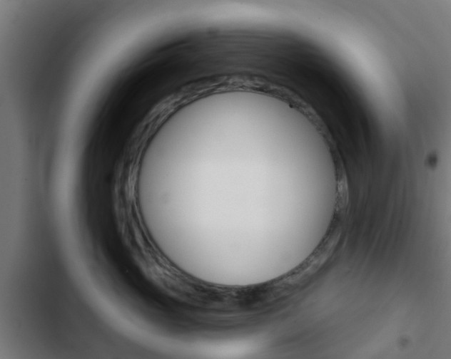 X0000103420765200809121012