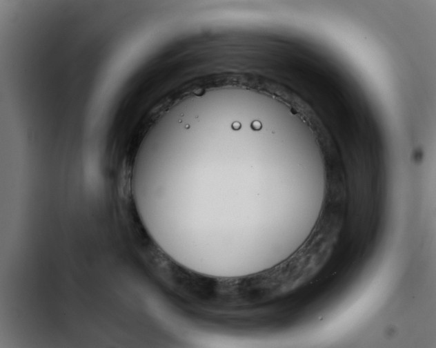 X0000103420766200809121012