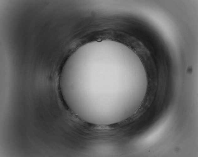 X0000103420767200809121012