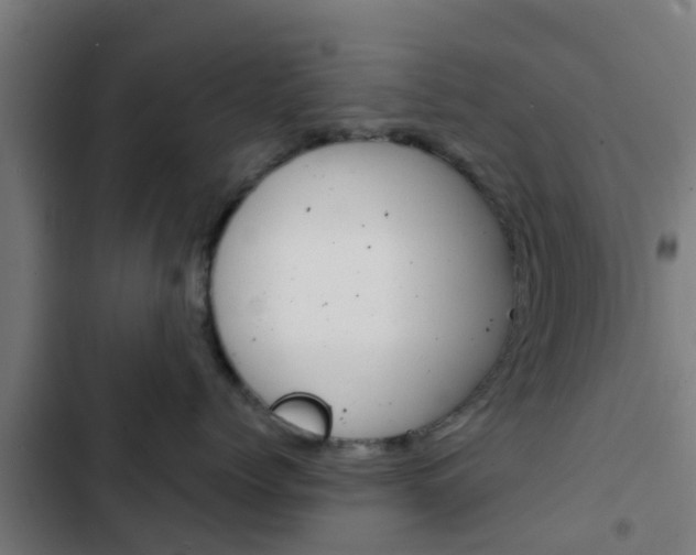 X0000103420768200809121012