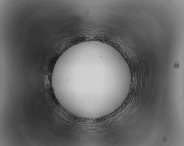 X0000103420770200809121011