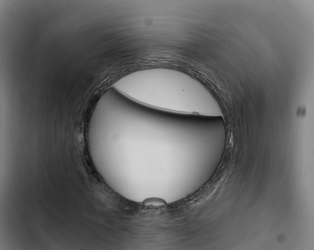 X0000103420771200809121011