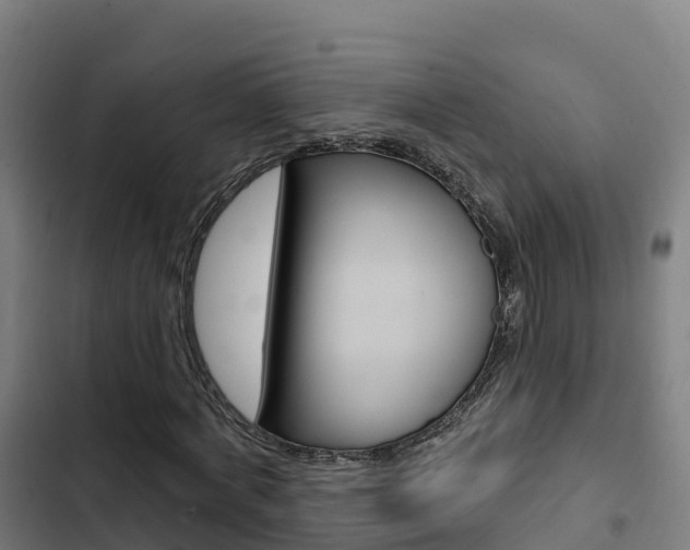 X0000103420772200809121011