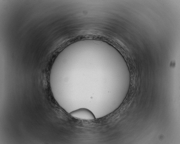 X0000103420774200809121011
