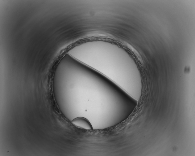 X0000103420775200809121011