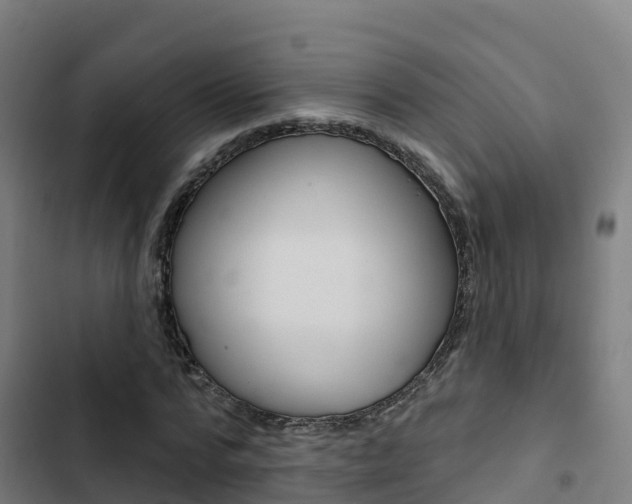 X0000103420776200809121011