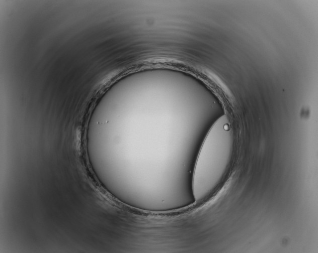 X0000103420777200809121011
