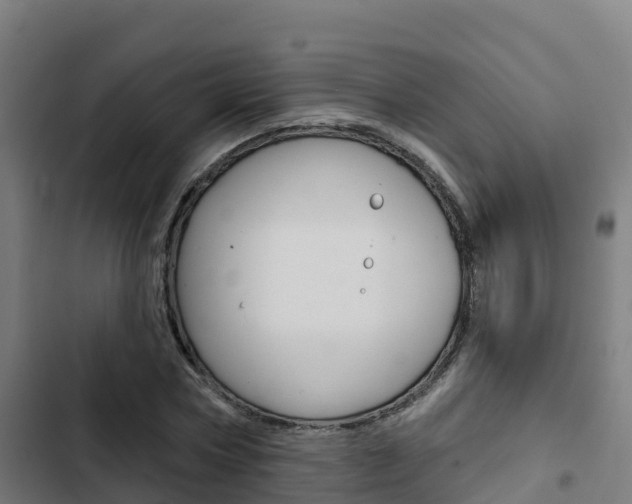 X0000103420778200809121011