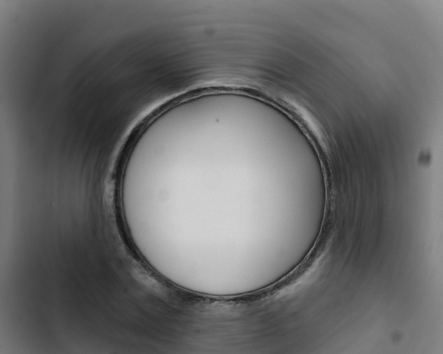 X0000103420779200809121011