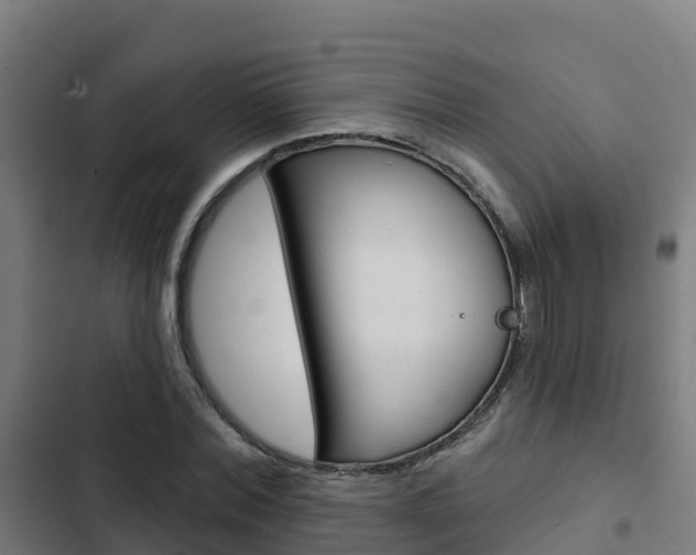 X0000103420780200809121011