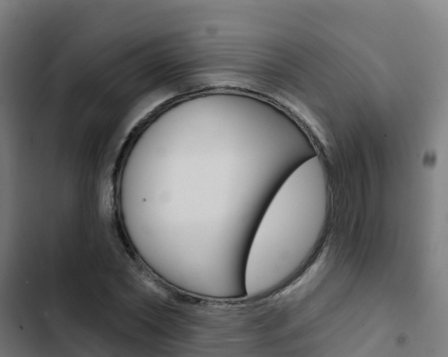 X0000103420782200809121011