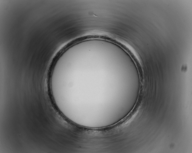 X0000103420783200809121011